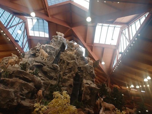 Dundee Michigan Cabela's