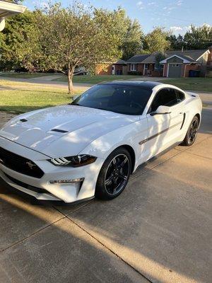 2019 Mustang GT