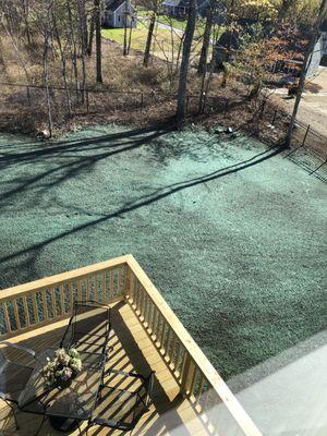 Seeded backyard