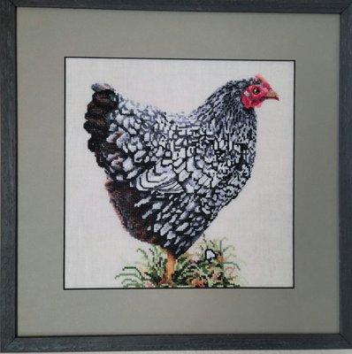 Lady Marmalade - counted cross stitch by Kendall Nolan