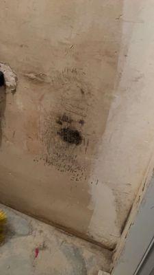 mold splotch on the wall