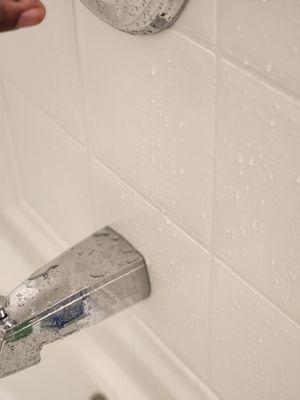 Shower leaking or spraying light fixture