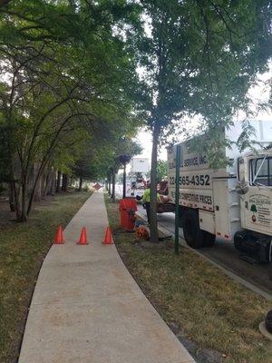 The best Tree Service in Illinois