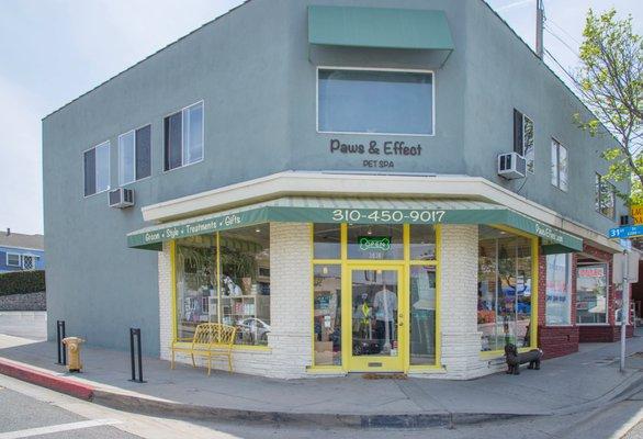 Paws & Effect Pet Spa