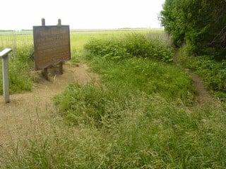 Top of the dugout at the Ingalls Dugout Site north of Walnut Grove, Minnesota.