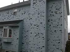 SIDING/HAIL DAMAGES