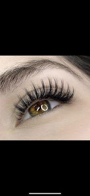 wispy lash