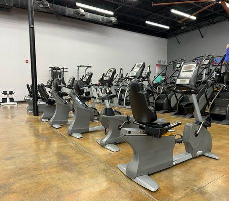 Cardio machines, sitting and standing.