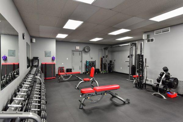 Dumbbell area