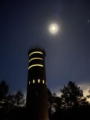 Cape Henlopen State Park