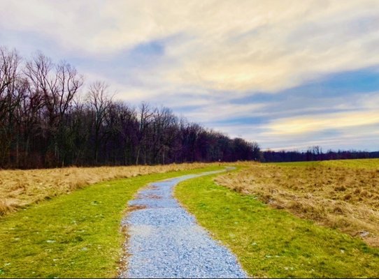 Sadsbury Woods Preserve