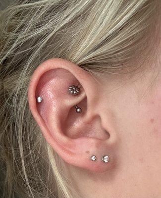 1st, 2nd, cartilage, rook