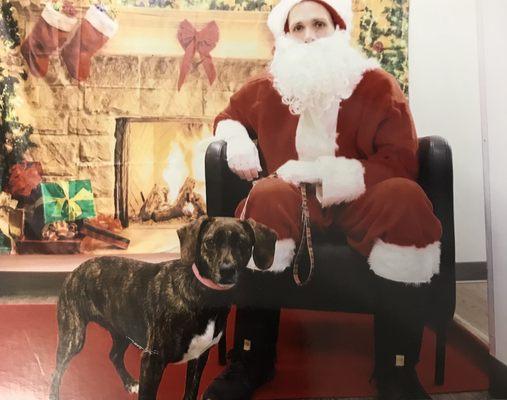 My puppers with Santa at Dogtopia.  :)