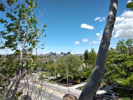 View of downtown from a Siberian Elm in Sugarhouse