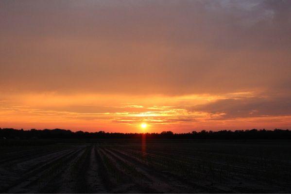 Sunset overlooking Duffield's Farm