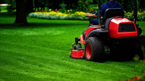 Best Lawn Care