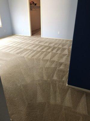 Carpet cleaning