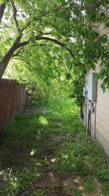 Side of  property fence falling and overgrown trees and weeds ,Property Management was getting paid to take care of property