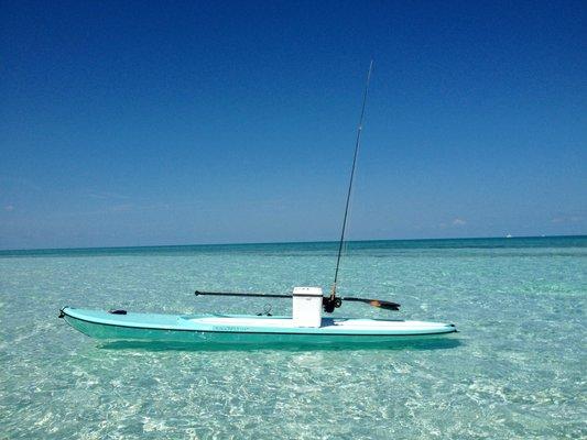 This paddle board was made for Jimmy Buffet.