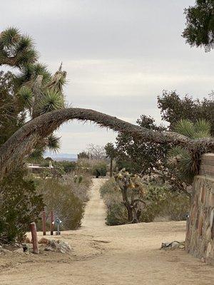 Joshua Tree Retreat Center - Institute of Mentalphysics