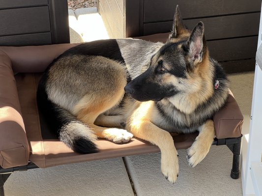 Florence stealing her bestie's bed.