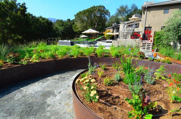 Corten steel garden beds