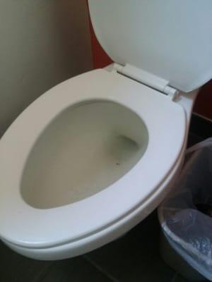 Clogged and broken toilet