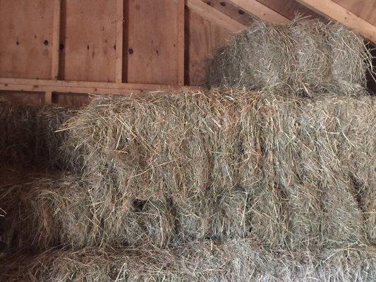 Beautiful hay - when you have your own farm you can grow and cultivate and sell a crop - HAY!