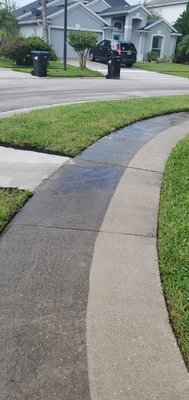 Pressure Washing