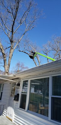 A-1 Tree Service