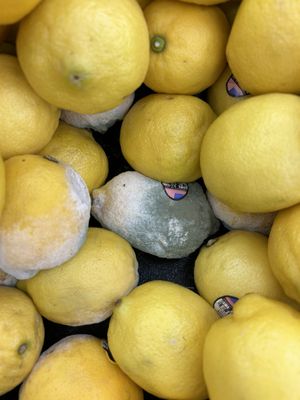 This is gross. No store should EVER have lemons like this. I should be able to get a fresh lemon