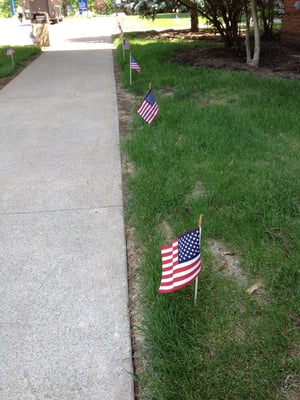 Memorial Day flags out