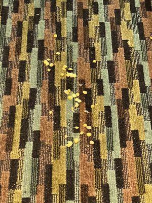 Carpets strewn with food debris for over 24 hours even after telling front desk