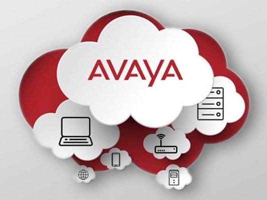 Avaya Cloud Partner providing VOIP services for your business!