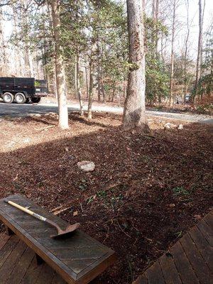 Yard clean up and mulch prep