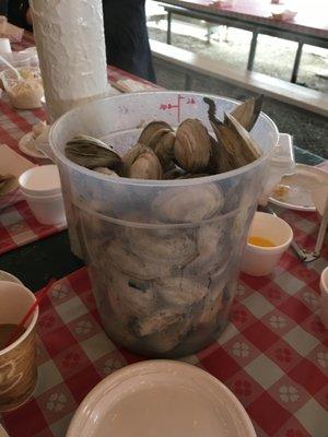 Bottomless Clams!