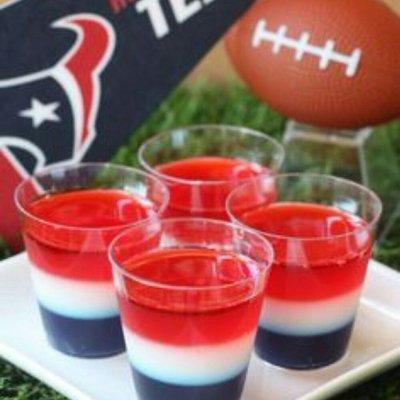 Go Texans!