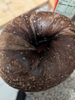 Pumpernickel bagel