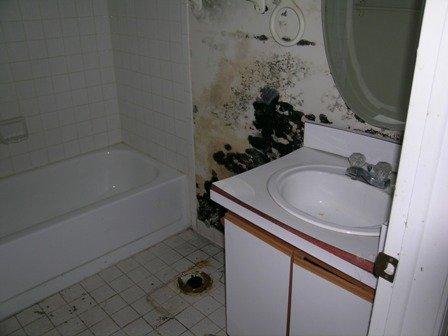 Mold in the bathroom.