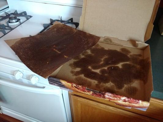 Greasy pizza. Soaked all the way through the spongy piece of cardboard and through the box.