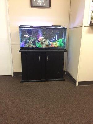 Cute fish tank in the waiting area