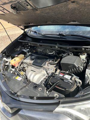 Engine bay (cleaned)