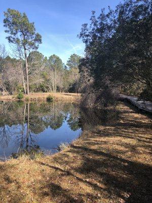 First pond area at the start of the trail