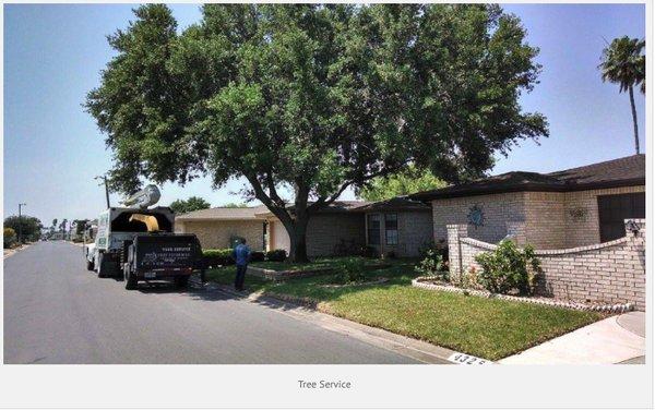 These are only a few of the benefits Sandoval Tree Trimming's service offers the McAllen, TX region. To find out more, just give us a call!