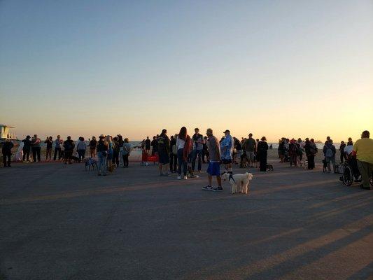 Yearly Interfaith Blessing of the Animals organized by Justin Rudd and the CAT team