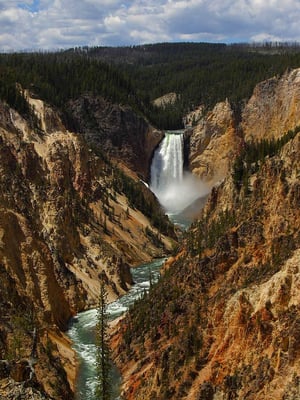 Grand Canyon & Lower Falls - Yellowstone