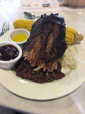 Memphis Style Pork Ribs - 5 moist meaty ribs.  Yummy!!