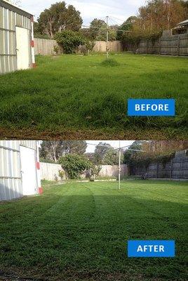 Before and after weekly lawn mowing services