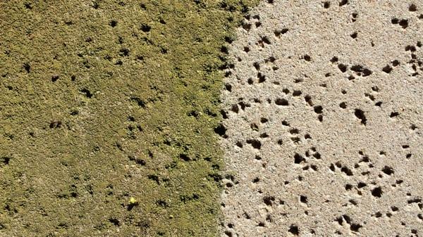 Pressure washing concrete