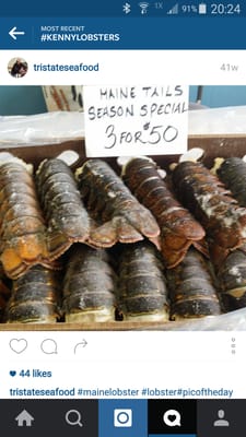 Lisa my favorite 10 ounce cold water lobster tails